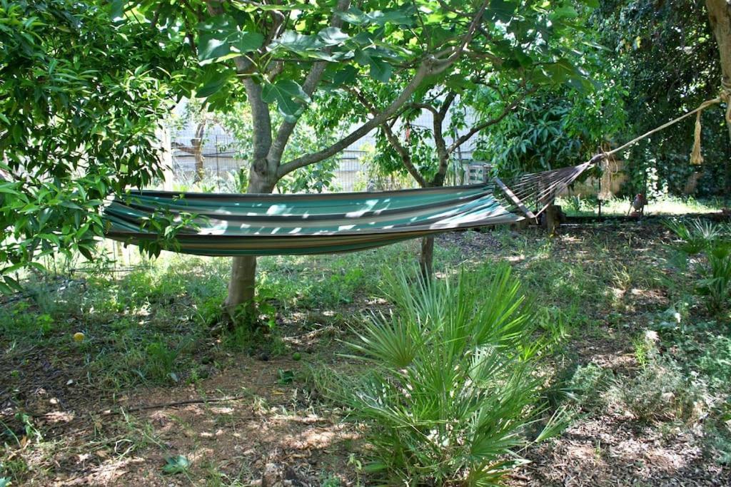 Camera indipendente con bagno immersa nel verde Bagheria Esterno foto